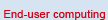 End-user computing