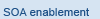 SOA enablement