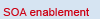 SOA enablement